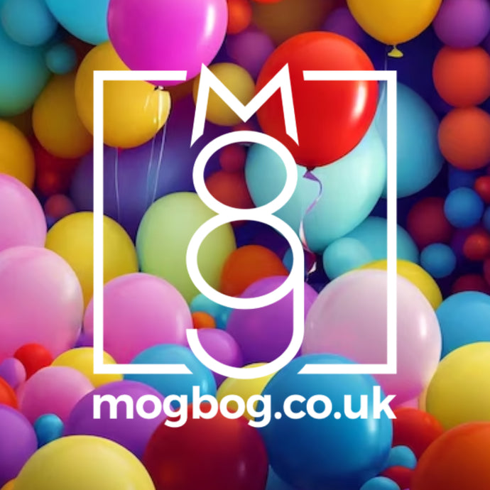 Blog 11 | mogbog is 1!