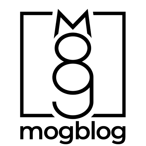 Blog 1 | Welcome To Our mogblog